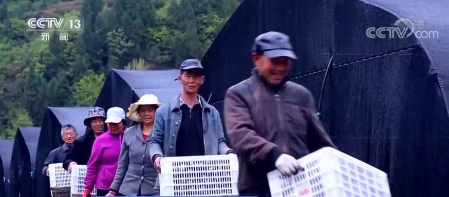點(diǎn)擊進(jìn)入下一頁(yè)