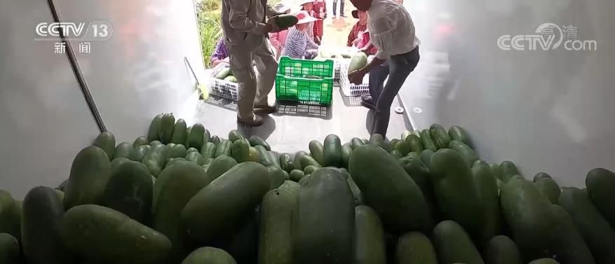 點(diǎn)擊進(jìn)入下一頁(yè)